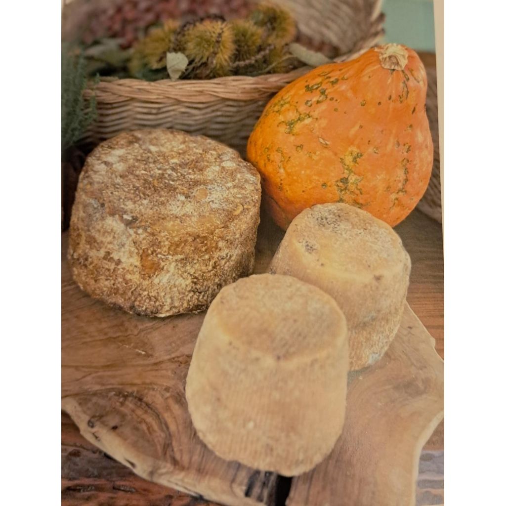 Crosta rossa di capra