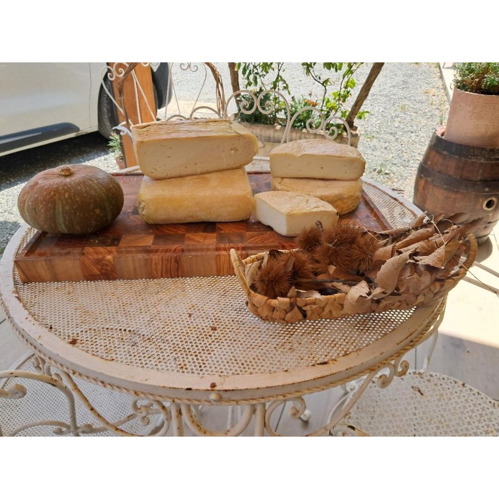 Lavorazione tipo Taleggio di capra (Crosta lavata)