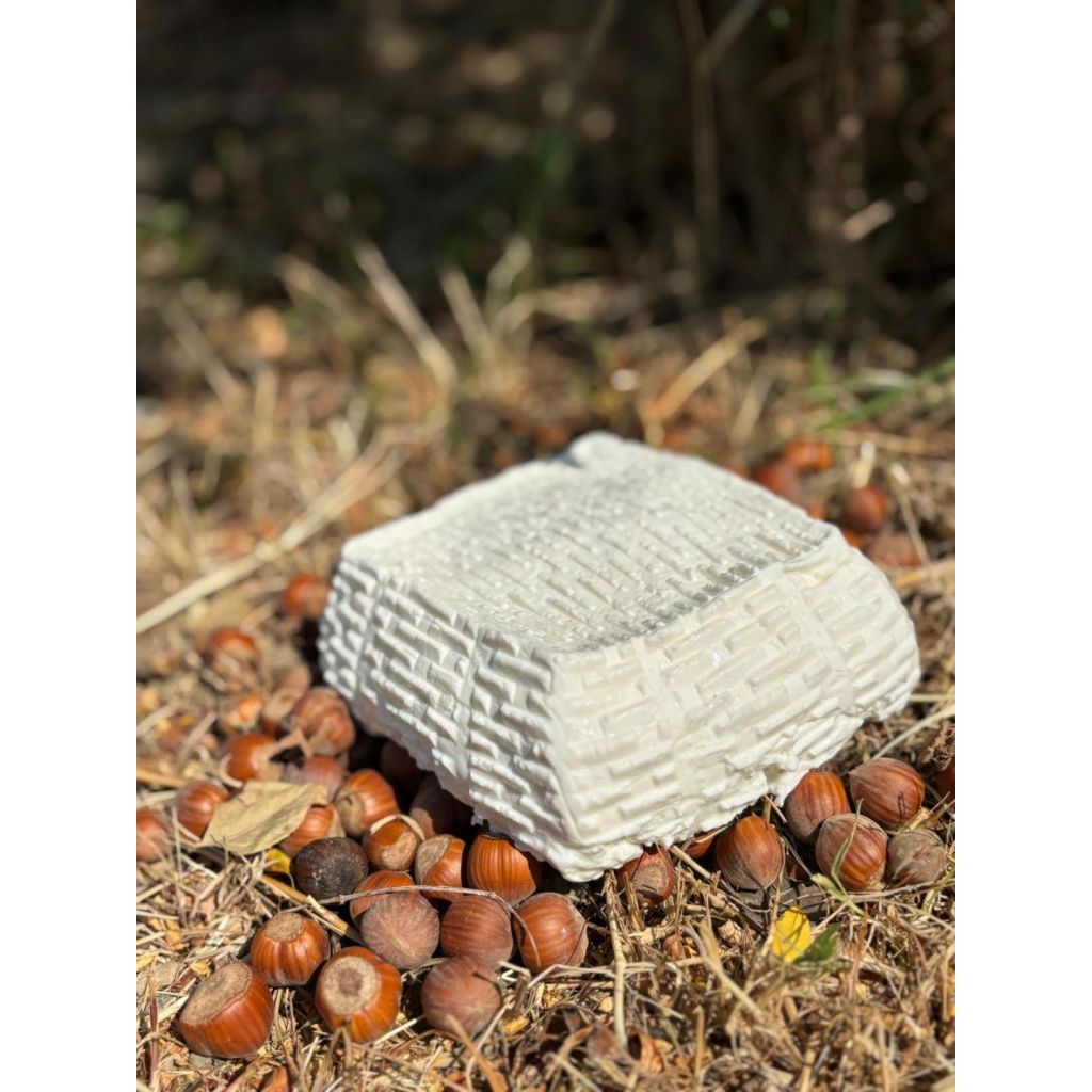 Primo Sale di capra - Forma da 600g circa