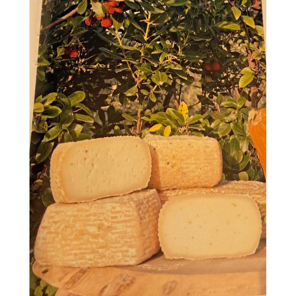 SEMISTAGIONATO_DI_CAPRA_FORMA_1.5kG