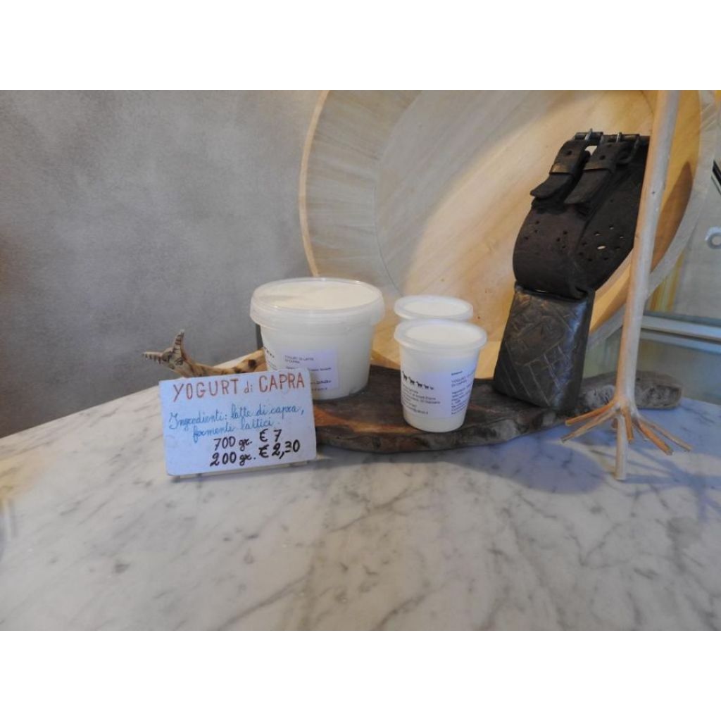 YOGURT_DI_LATTE_DI_CAPRA_VASETTO_200GR