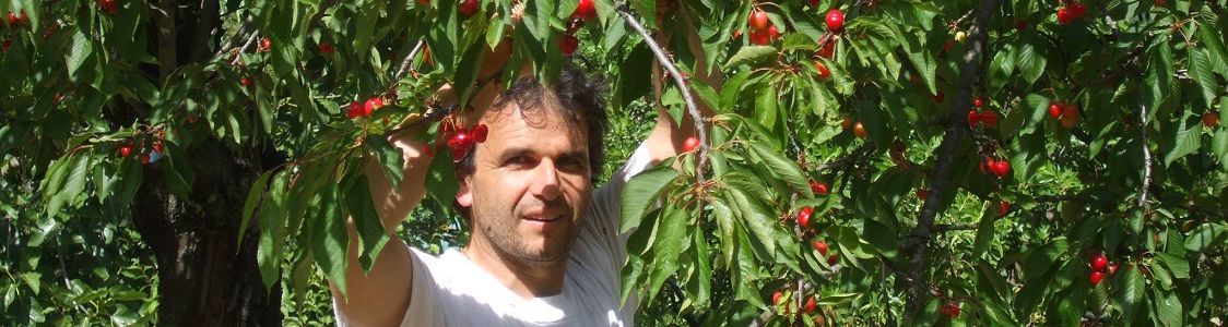 Azienda agricola Mastrociliegia