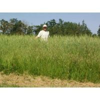 proprietario-_contadino