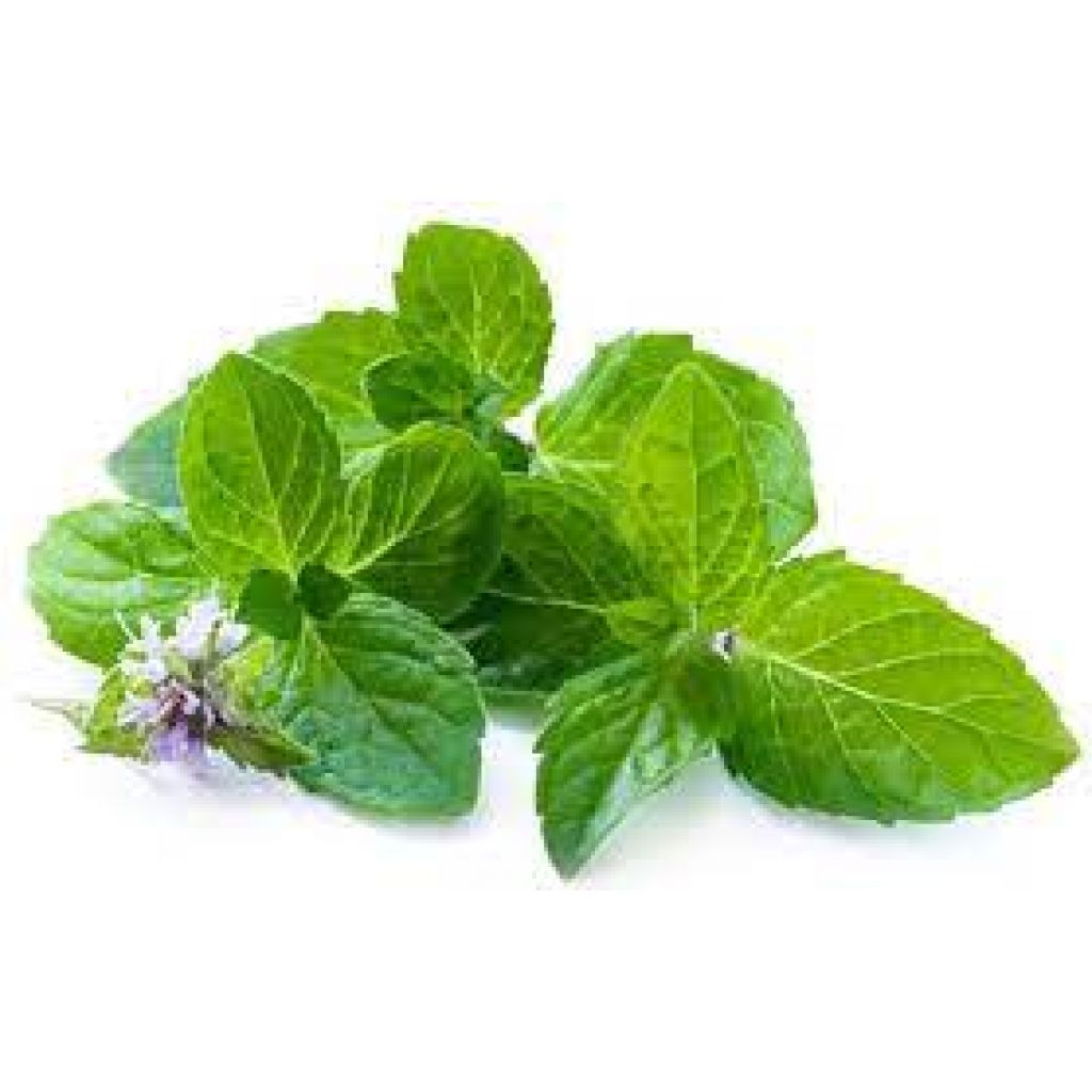 IDROLATO di Melissa BIO 100 ml