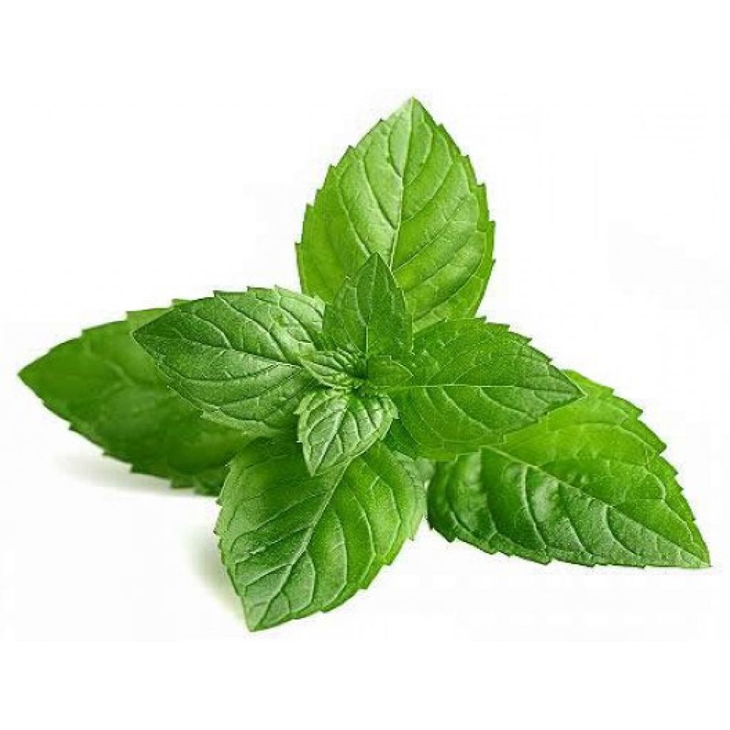 Hydrolat mint BIO 200 ml spray version