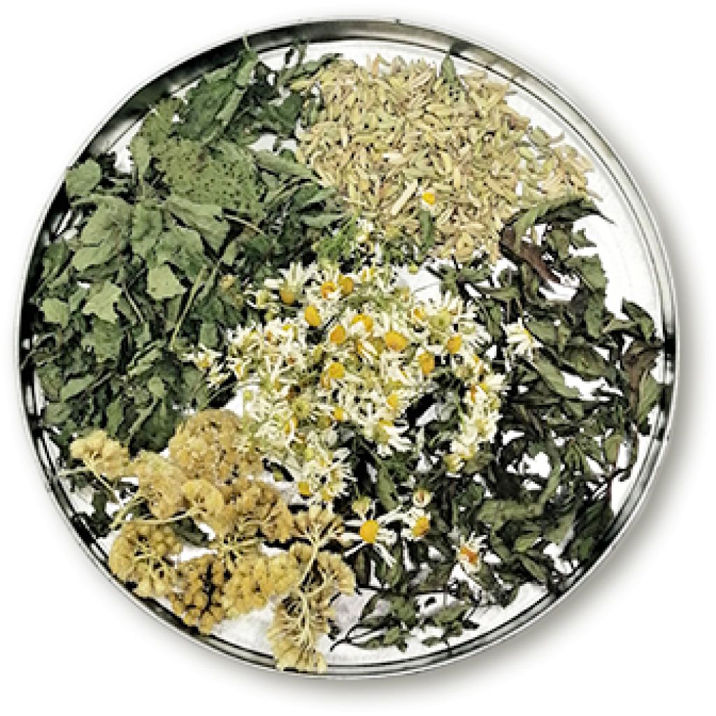 INFUSION dopopasto 100 grams