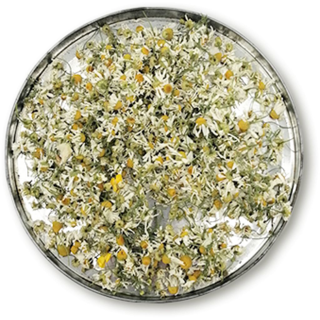 INFUSION CHAMOMILE FLOWER FULL BIO 50g