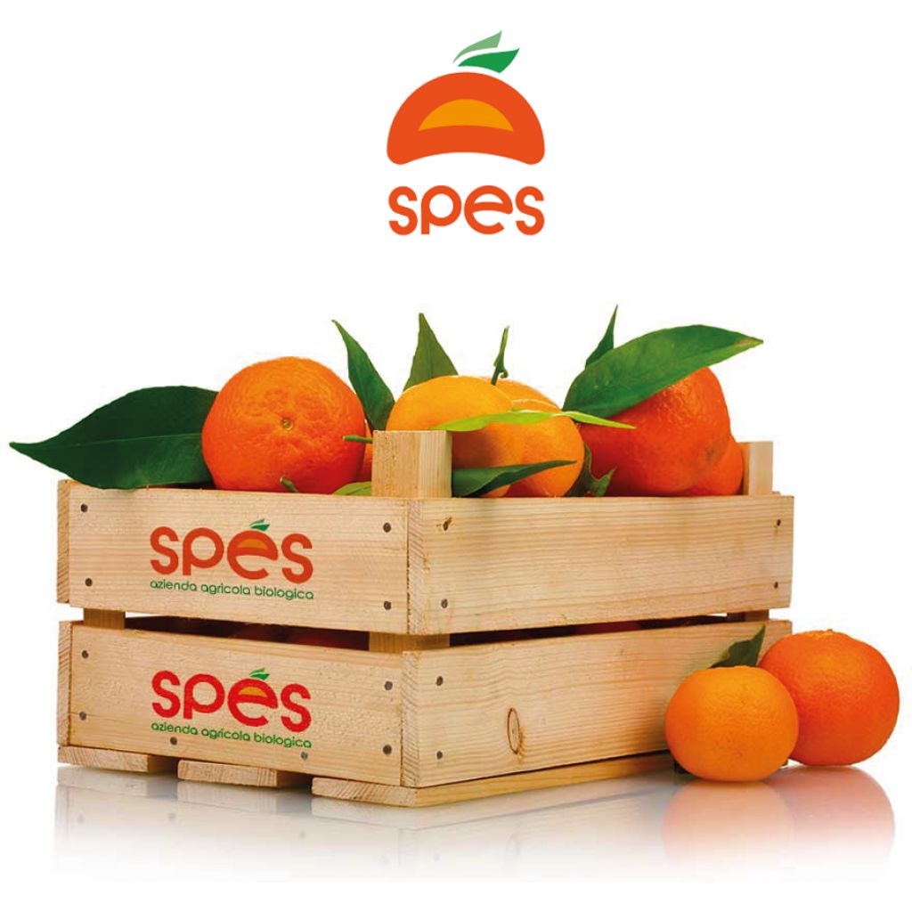 Cassetta clementine 10Kg