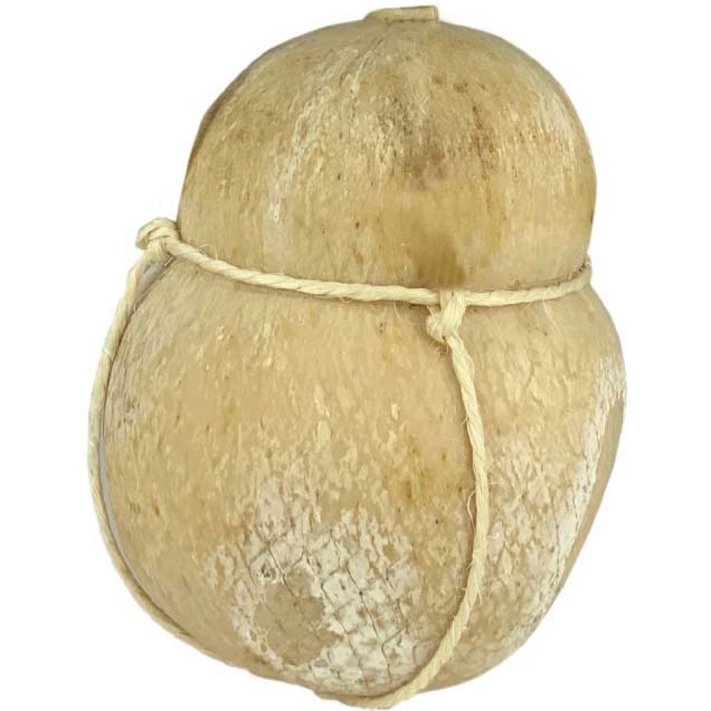 Caciocavallo biologico stagionato 8/12 mesi 300 gr