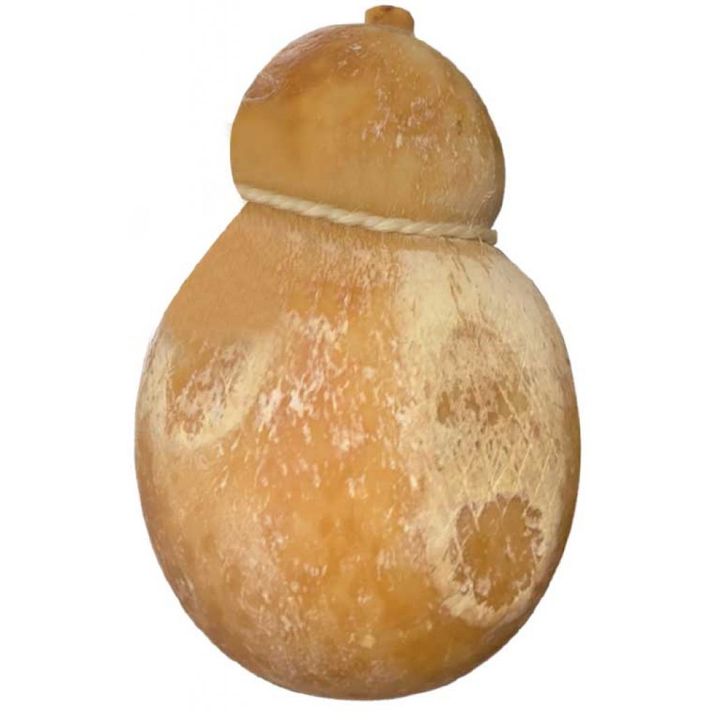 Caciocavallo biologico stagionato 36 mesi 300 gr