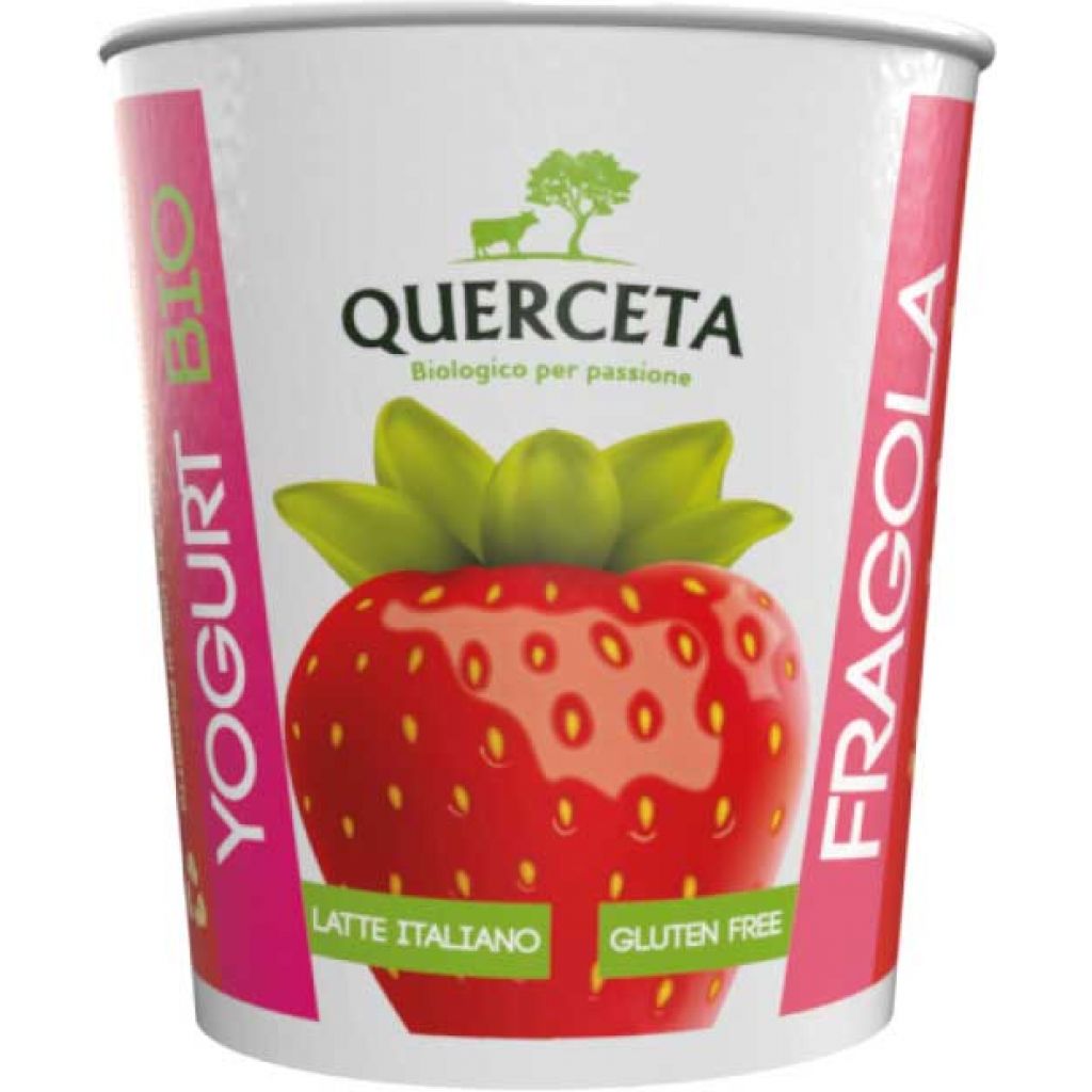 Yogurt biologico alla fragola