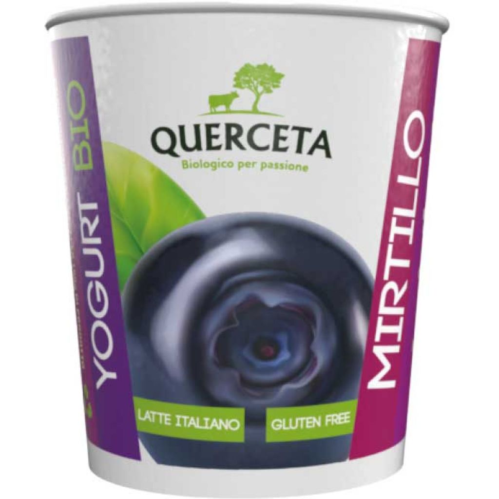 Yogurt biologico al mirtillo