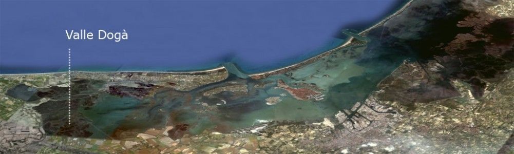 Pesce per venezianogas