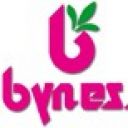 Byness - Industria cartaria