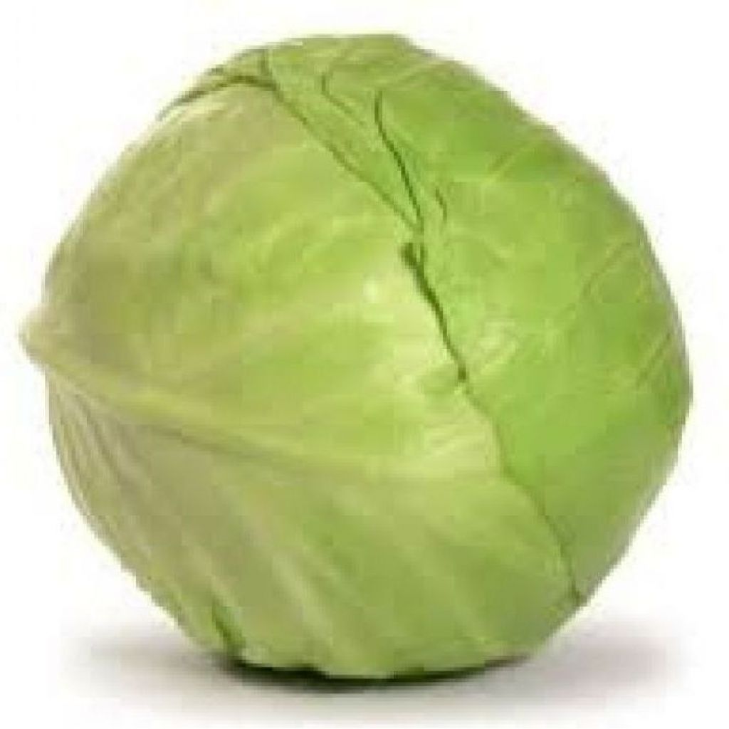 Cavolo Cappuccio bianco