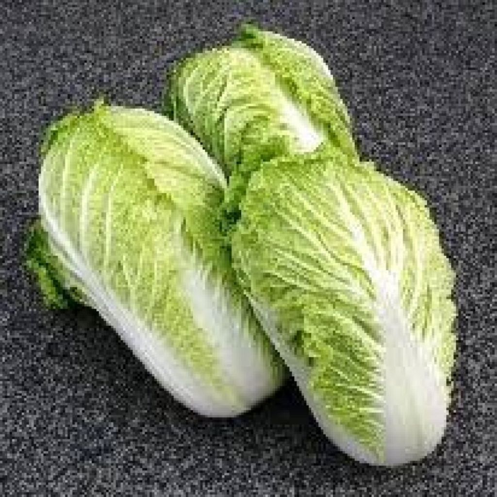 Cavolo Cinese