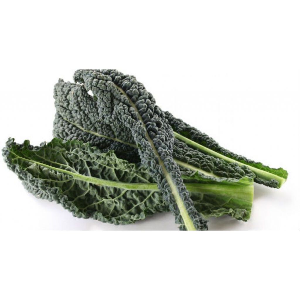 Cavolo Nero