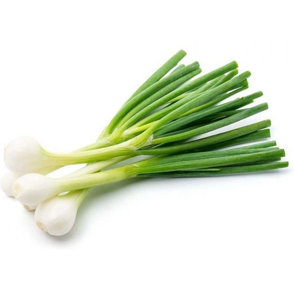 Cipollina fresca al mazzo