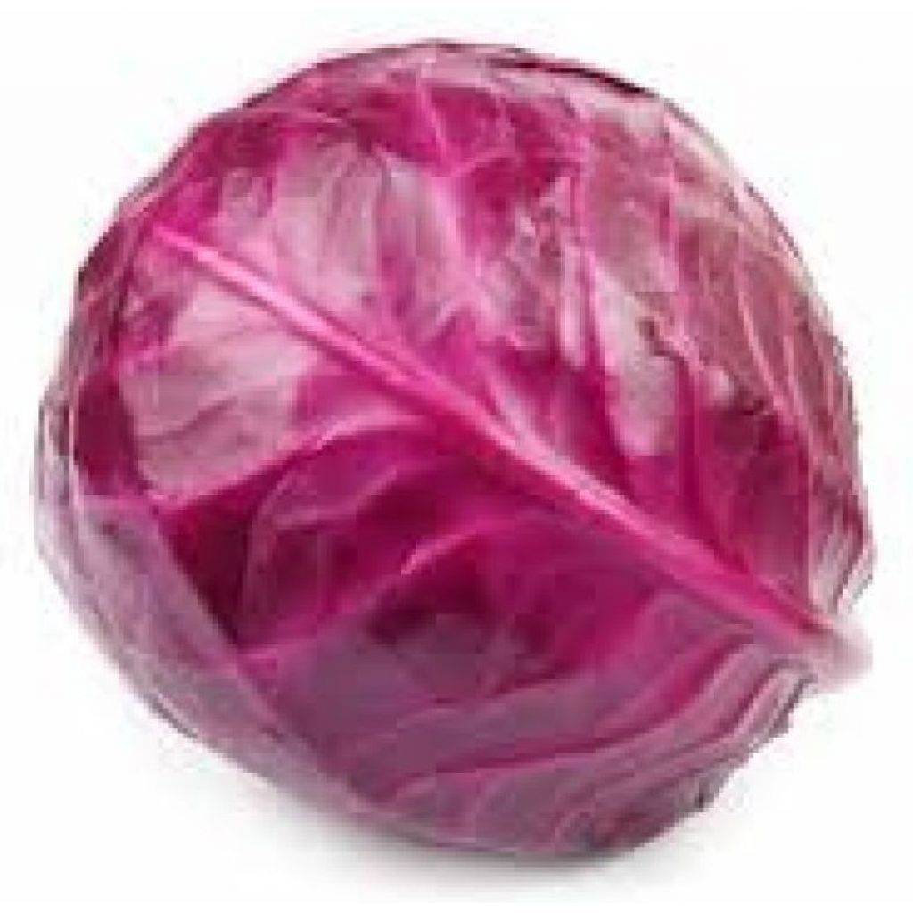 Cavolo cappuccio rosso