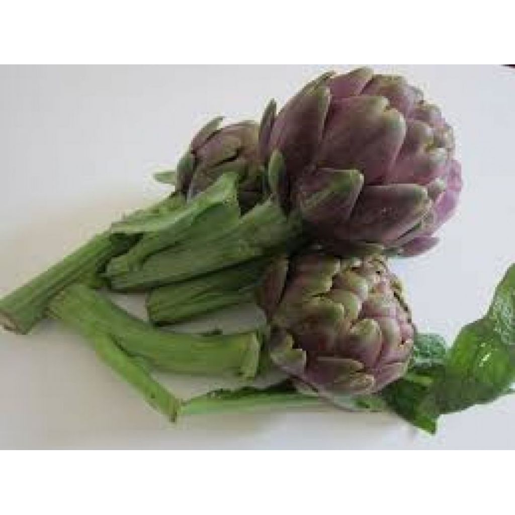 Carciofi - venduto al pezzo (1 se grande, 2-3 se piccoli)