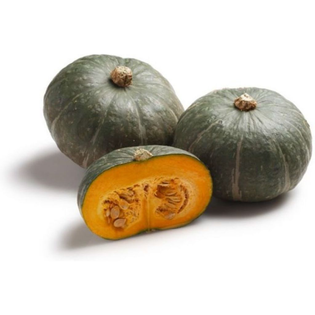 Zucca mantovana