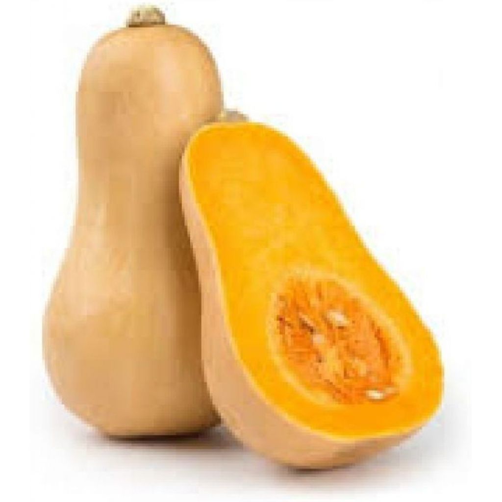 Zucca violina