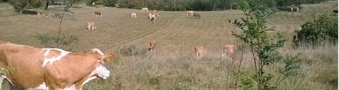 Bio-agriturismo Parco Rurale Alture di Polazzo