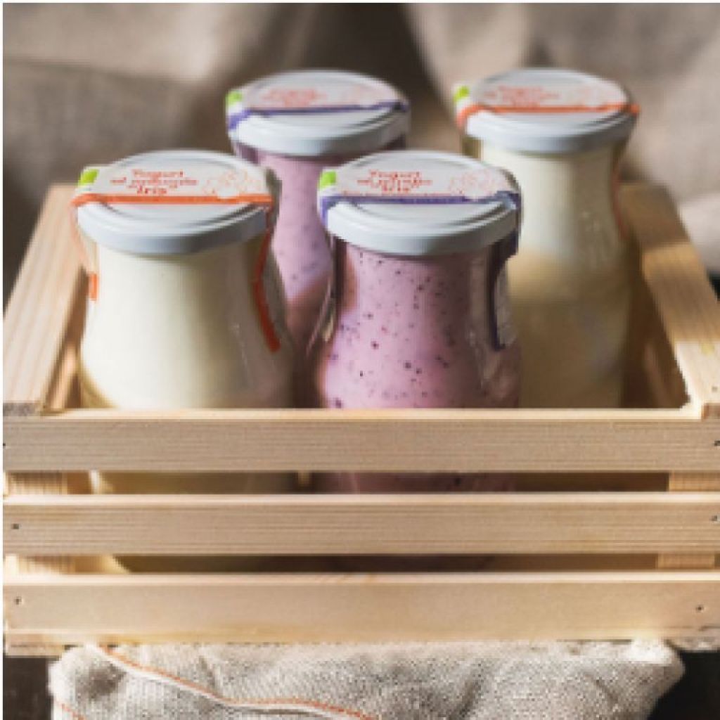 Yogurt al mirtillo Biologico (vasetto da 450 g)