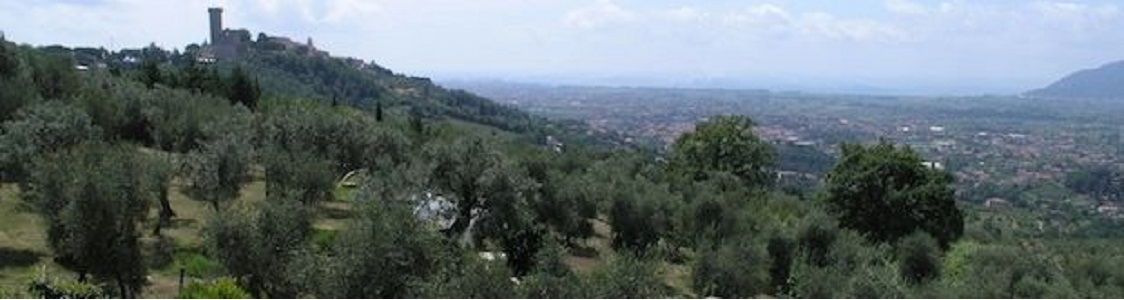 Azienda agricola Belfiore