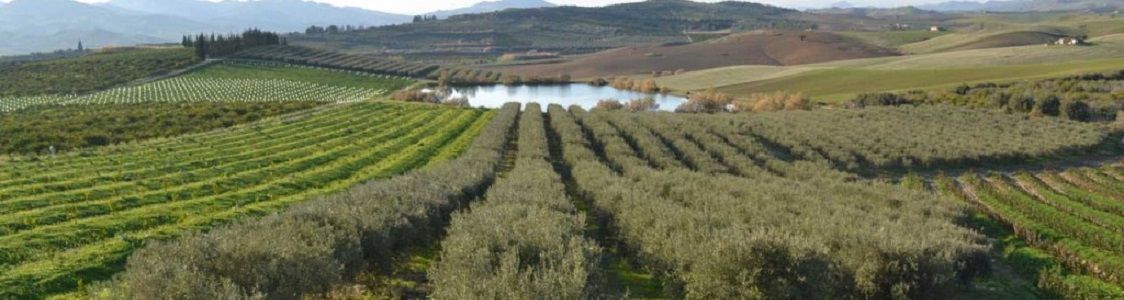 Arcobio Societ&agrave; Agricola Semplice