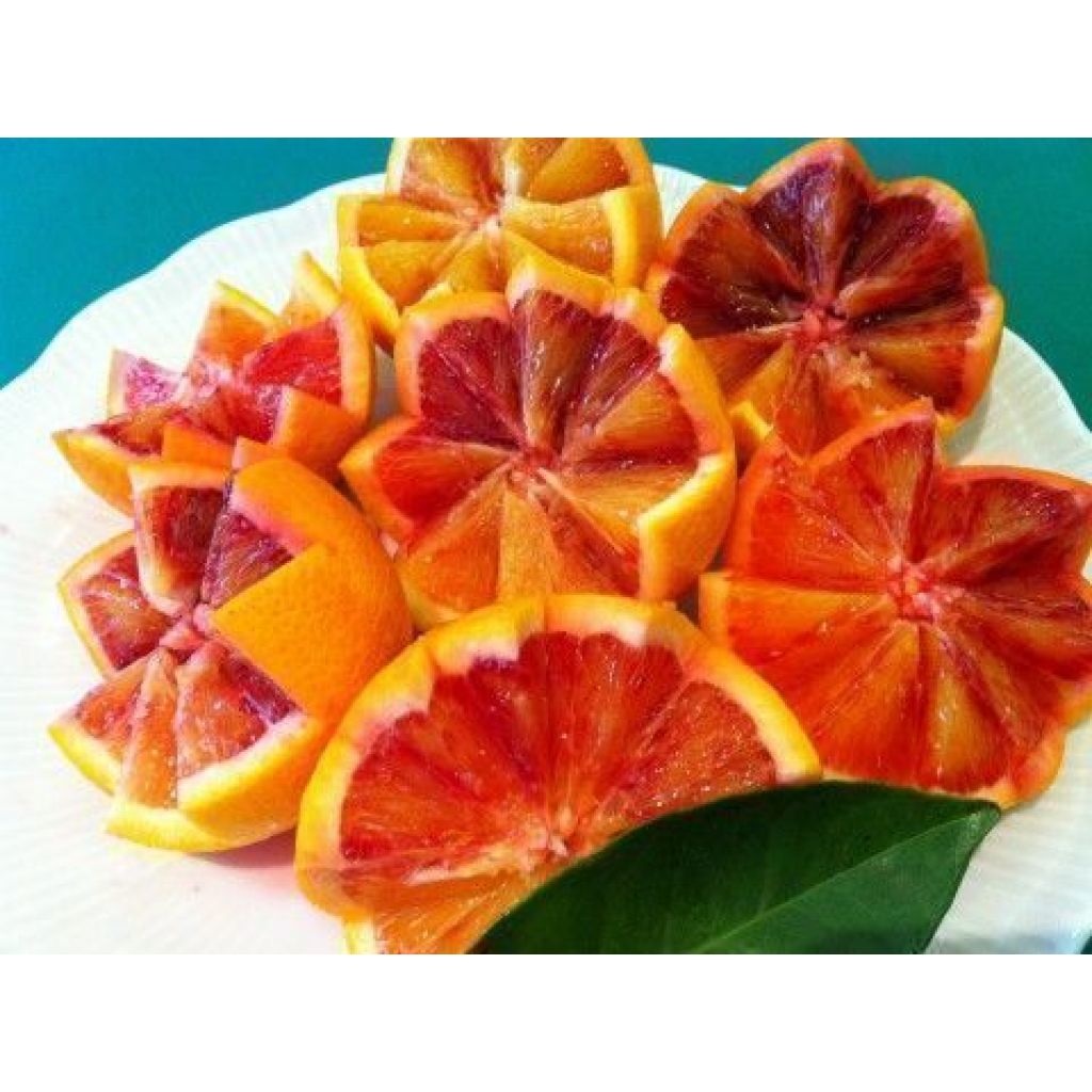 IGP Arancia Rossa Tarocco Bio cal 4