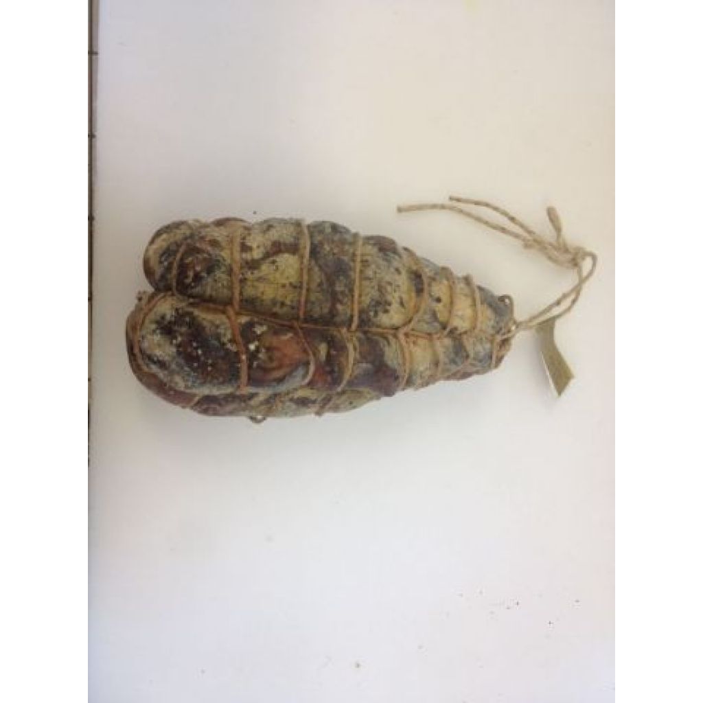 Noce. Pezzi da circa 1,1 Kg