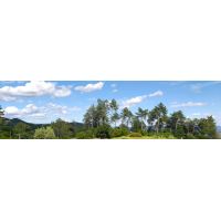 messengerquickcam1591024933218