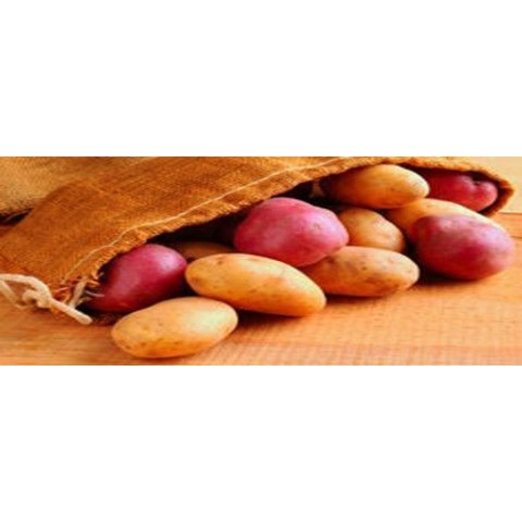 Patate rosse. Sacco da 5 Kg.