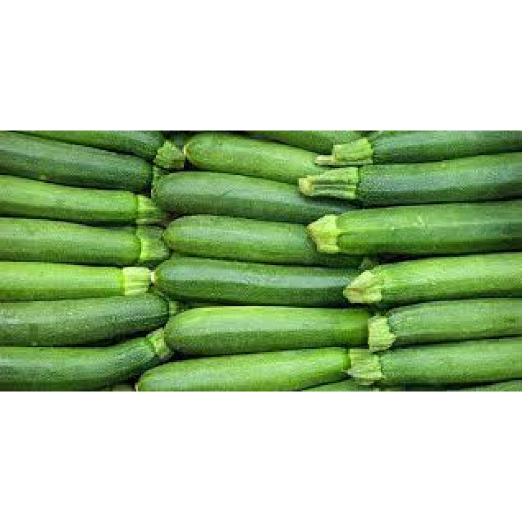 Zucchine