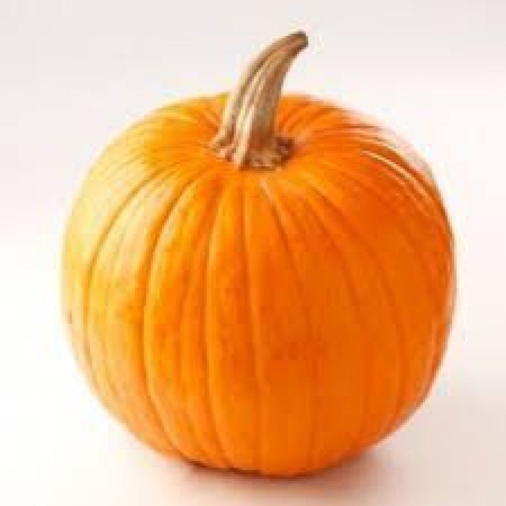 Zucca Halloween