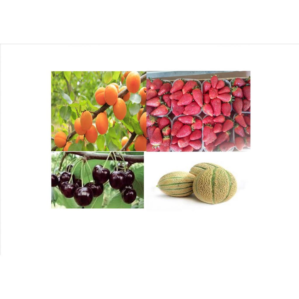 Cassetta mix frutta di stagione