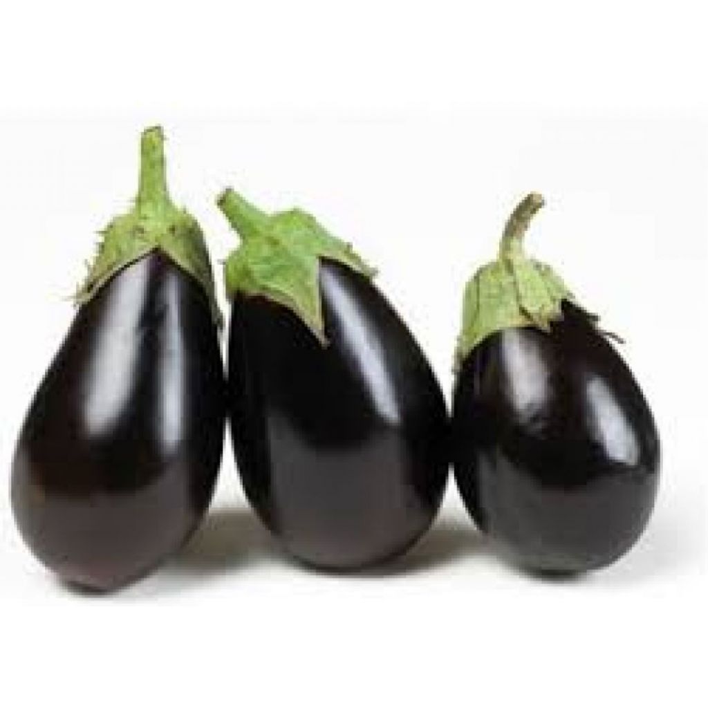 Melanzane tonde scure