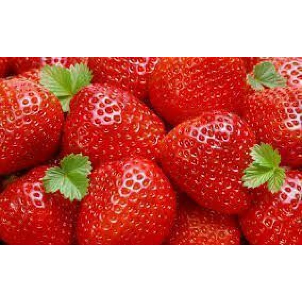 Confezione 4 cestini fragole peso 2 Kg. circa