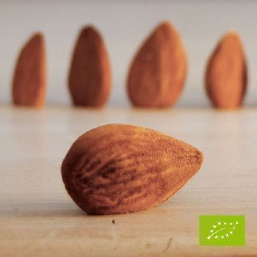 Sicilian natural almonds - 1 Kg