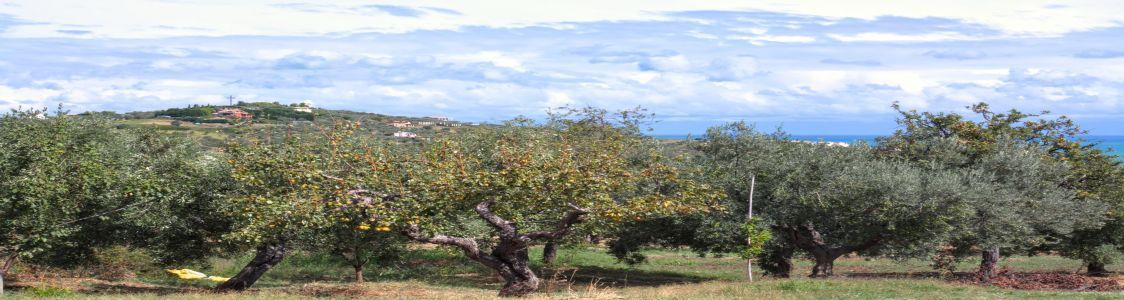 Masseria La Palombara
