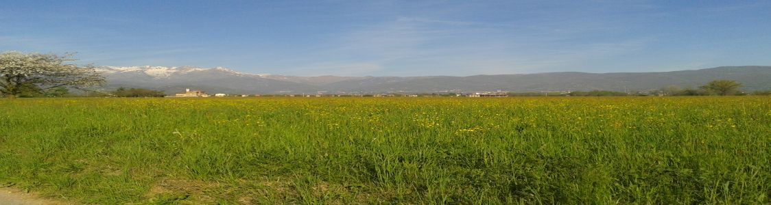 Piccoli Frutti - Azienda agricola La Teresina s.r.l.