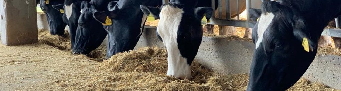 Lo spaccio della Miniera