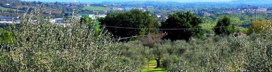 Azienda Agricola Iamundo Caterina