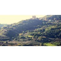 12185493_1685128028368098_7468908843588470680_o