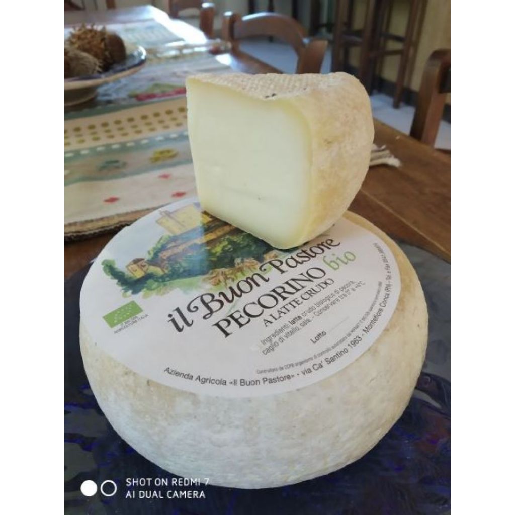 Caciotta - FORMA INTERA