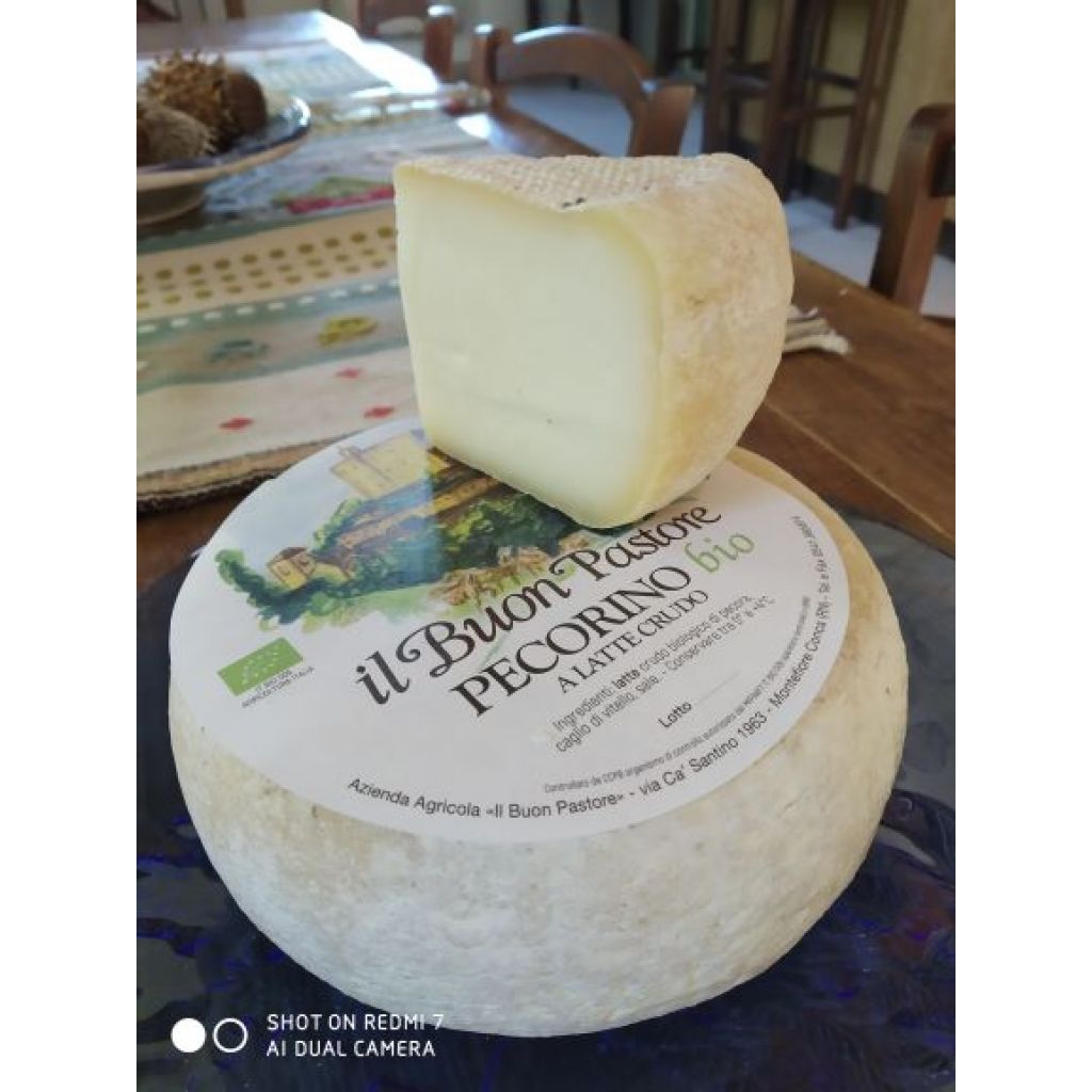 Caciotta - HALF FORM