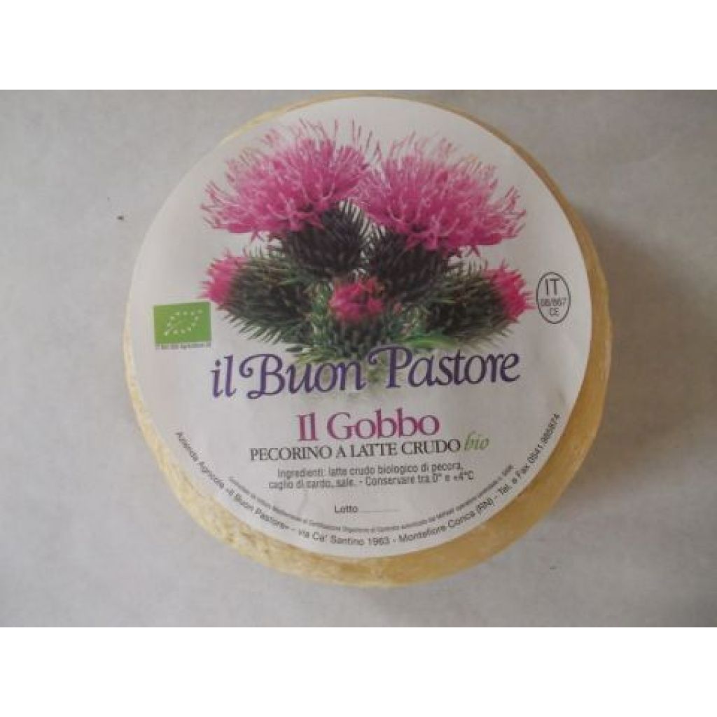 Il gobbo - QUARTO DI FORMA