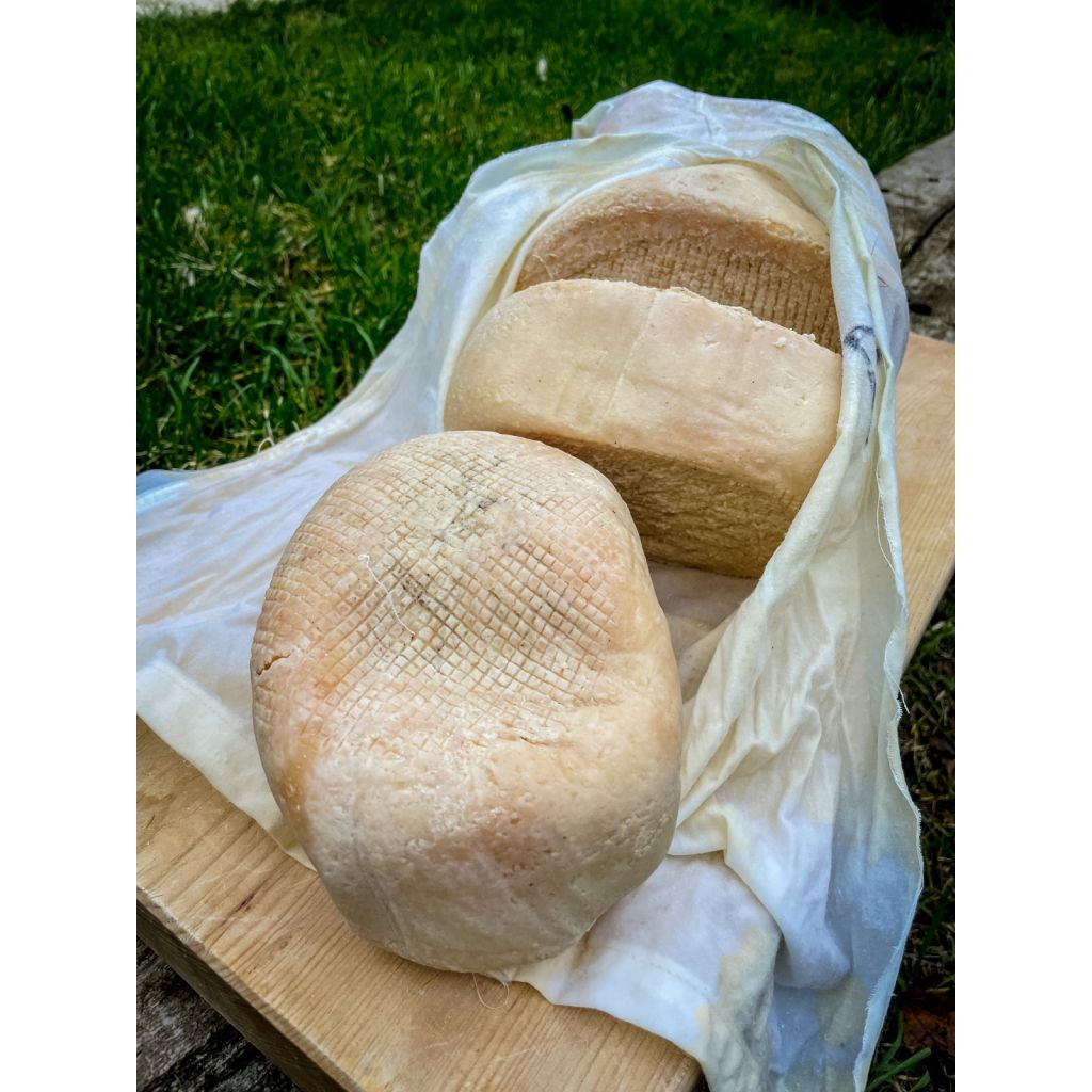 Pecorino cheese - HALF FORM