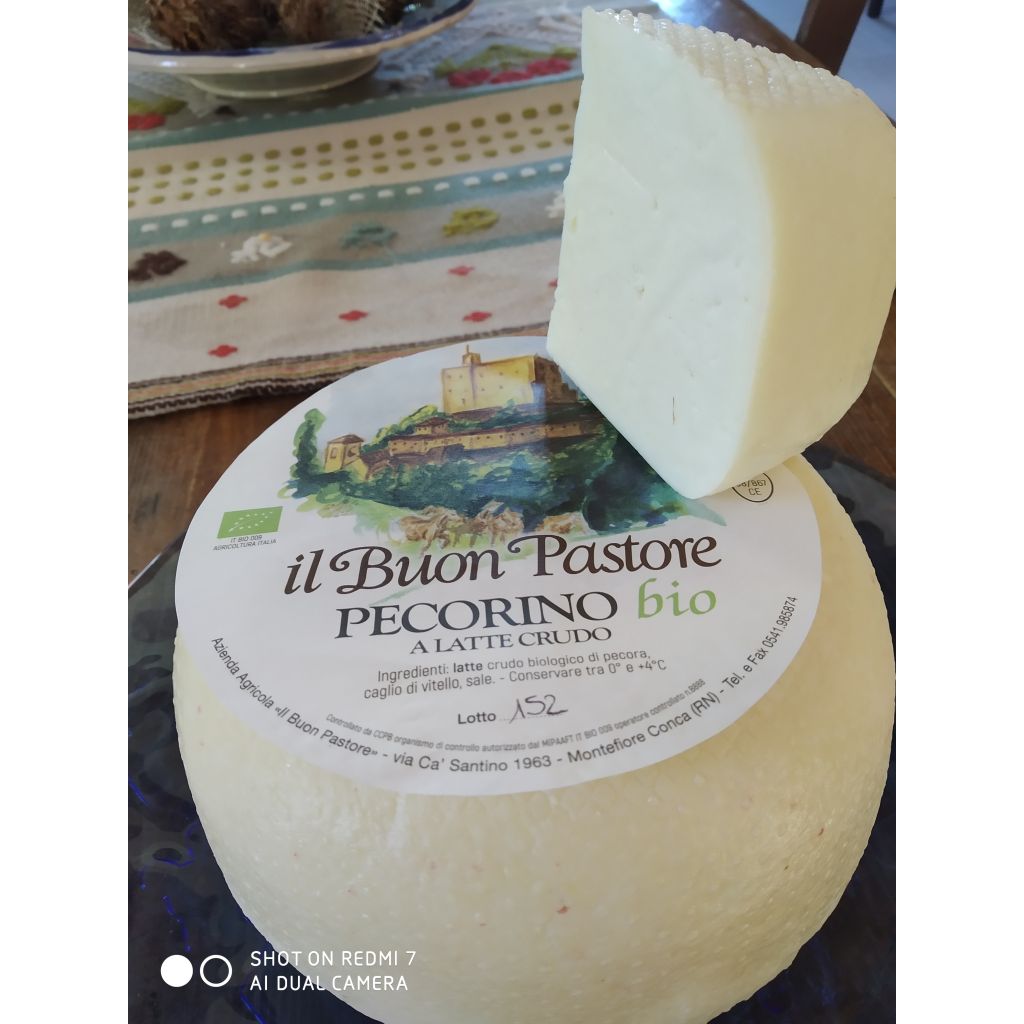 Pecorino fresco - FORMA INTERA